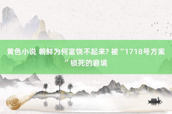 黄色小说 朝鲜为何富饶不起来? 被“1718号方案”锁死的窘境