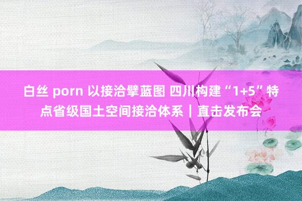 白丝 porn 以接洽擘蓝图 四川构建“1+5”特点省级国土空间接洽体系｜直击发布会