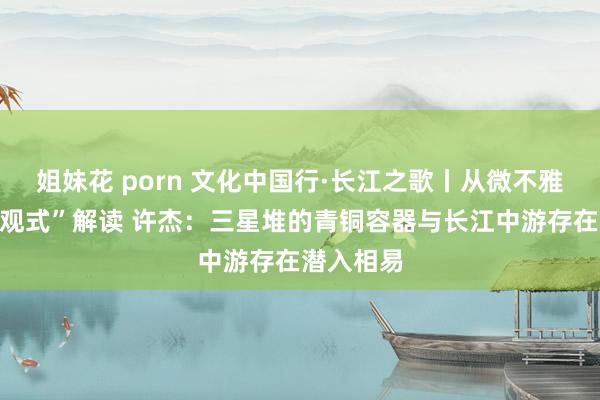 姐妹花 porn 文化中国行·长江之歌丨从微不雅角度“旁观式”解读 许杰：三星堆的青铜容器与长江中游存在潜入相易