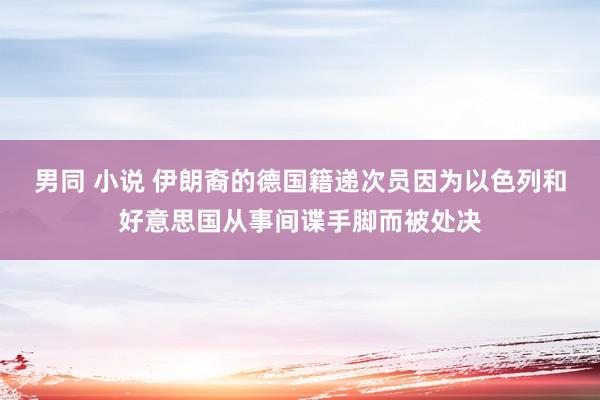 男同 小说 伊朗裔的德国籍递次员因为以色列和好意思国从事间谍手脚而被处决