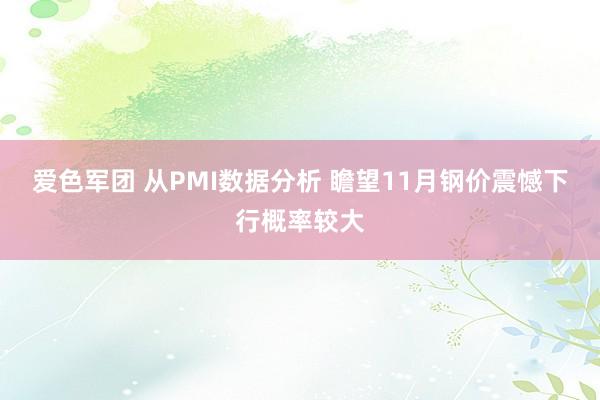 爱色军团 从PMI数据分析 瞻望11月钢价震憾下行概率较大