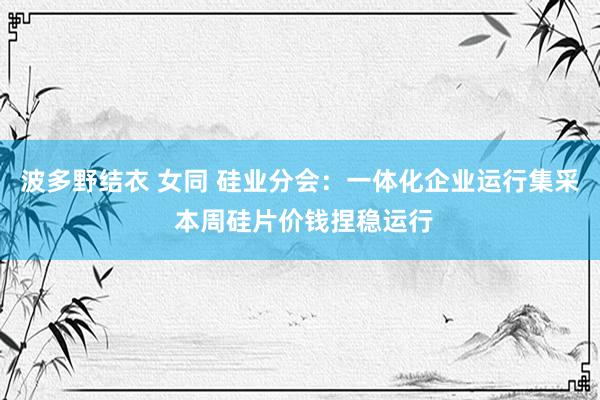 波多野结衣 女同 硅业分会：一体化企业运行集采 本周硅片价钱捏稳运行