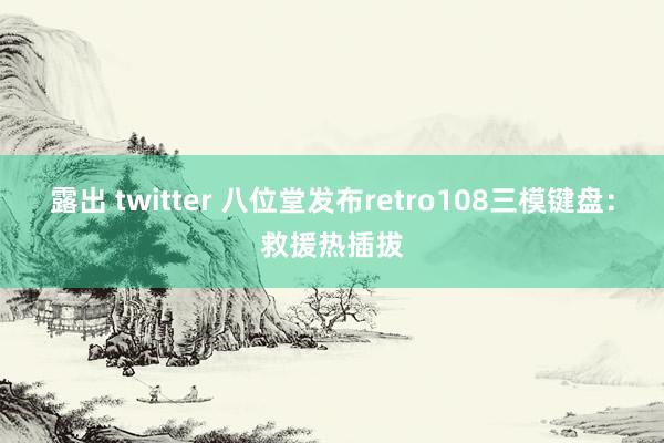 露出 twitter 八位堂发布retro108三模键盘：救援热插拔