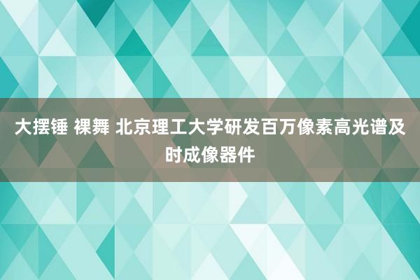 大摆锤 裸舞 北京理工大学研发百万像素高光谱及时成像器件