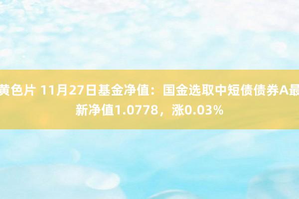 黄色片 11月27日基金净值：国金选取中短债债券A最新净值1.0778，涨0.03%