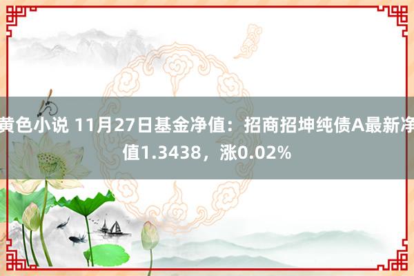 黄色小说 11月27日基金净值：招商招坤纯债A最新净值1.3438，涨0.02%