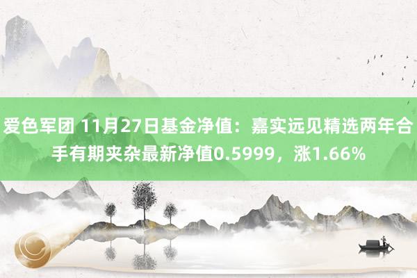 爱色军团 11月27日基金净值：嘉实远见精选两年合手有期夹杂最新净值0.5999，涨1.66%