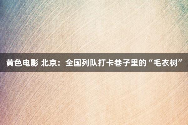 黄色电影 北京：全国列队打卡巷子里的“毛衣树”