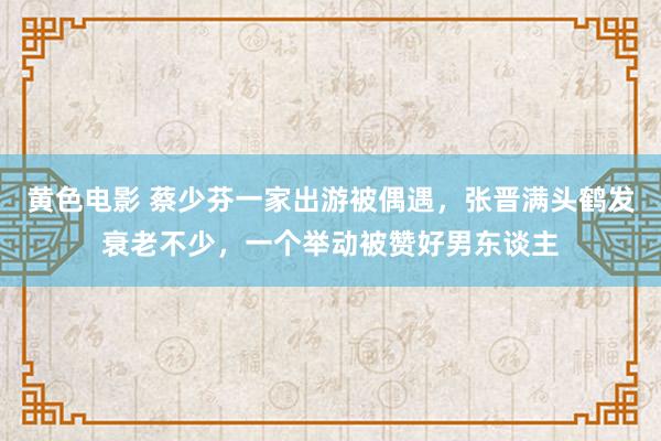 黄色电影 蔡少芬一家出游被偶遇，张晋满头鹤发衰老不少，一个举动被赞好男东谈主