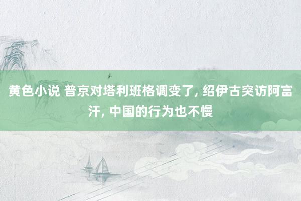 黄色小说 普京对塔利班格调变了， 绍伊古突访阿富汗， 中国的行为也不慢