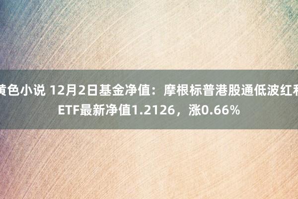 黄色小说 12月2日基金净值：摩根标普港股通低波红利ETF最新净值1.2126，涨0.66%