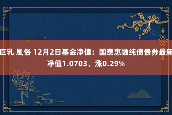 巨乳 風俗 12月2日基金净值：国泰惠融纯债债券最新净值1.0703，涨0.29%