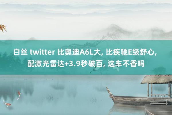 白丝 twitter 比奥迪A6L大， 比疾驰E级舒心， 配激光雷达+3.9秒破百， 这车不香吗