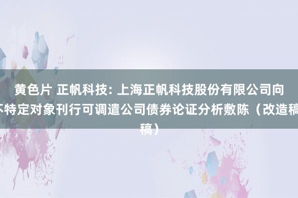 黄色片 正帆科技: 上海正帆科技股份有限公司向不特定对象刊行可调遣公司债券论证分析敷陈（改造稿）