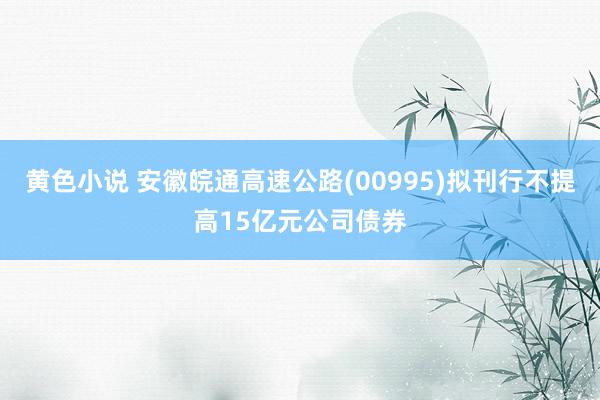 黄色小说 安徽皖通高速公路(00995)拟刊行不提高15亿元公司债券