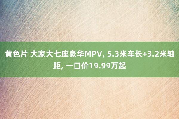 黄色片 大家大七座豪华MPV， 5.3米车长+3.2米轴距， 一口价19.99万起