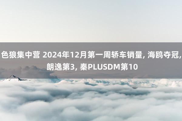 色狼集中营 2024年12月第一周轿车销量， 海鸥夺冠， 朗逸第3， 秦PLUSDM第10