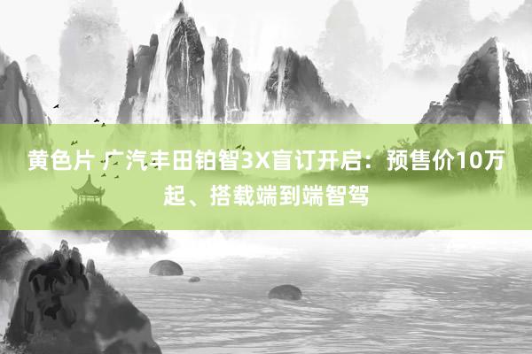 黄色片 广汽丰田铂智3X盲订开启：预售价10万起、搭载端到端智驾