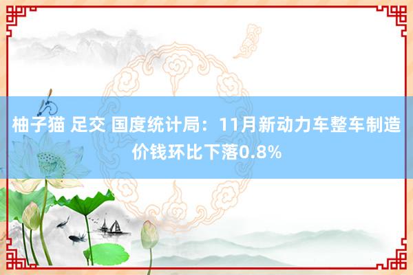 柚子猫 足交 国度统计局：11月新动力车整车制造价钱环比下落0.8%