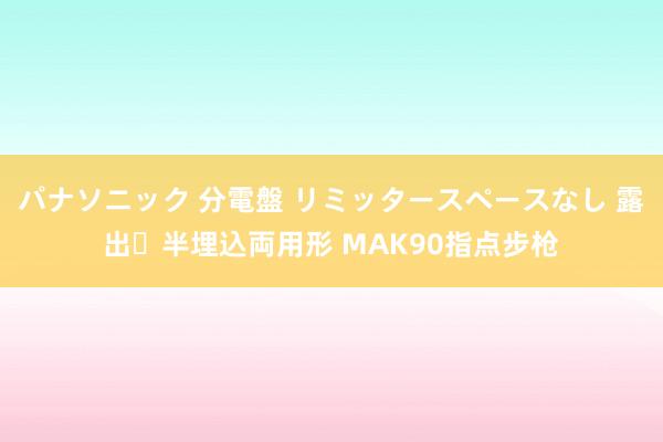 パナソニック 分電盤 リミッタースペースなし 露出・半埋込両用形 MAK90指点步枪