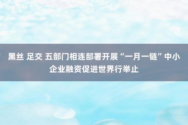 黑丝 足交 五部门相连部署开展“一月一链”中小企业融资促进世界行举止