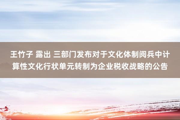 王竹子 露出 三部门发布对于文化体制阅兵中计算性文化行状单元转制为企业税收战略的公告