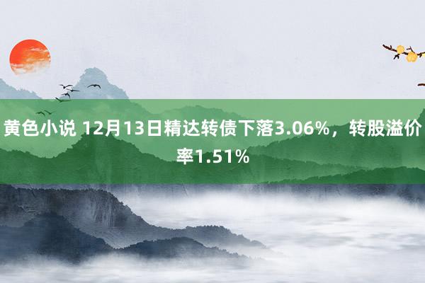 黄色小说 12月13日精达转债下落3.06%，转股溢价率1.51%