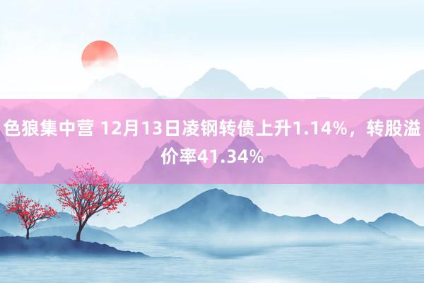 色狼集中营 12月13日凌钢转债上升1.14%，转股溢价率41.34%