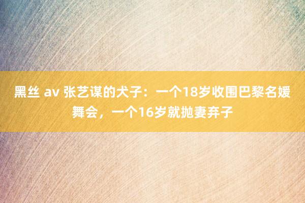 黑丝 av 张艺谋的犬子：一个18岁收围巴黎名媛舞会，一个16岁就抛妻弃子