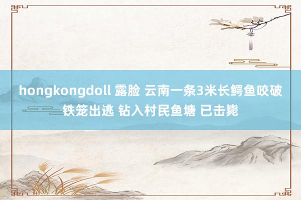 hongkongdoll 露脸 云南一条3米长鳄鱼咬破铁笼出逃 钻入村民鱼塘 已击毙