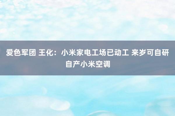 爱色军团 王化：小米家电工场已动工 来岁可自研自产小米空调