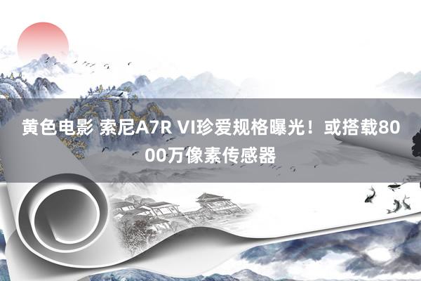 黄色电影 索尼A7R VI珍爱规格曝光！或搭载8000万像素传感器