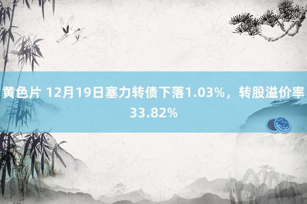 黄色片 12月19日塞力转债下落1.03%，转股溢价率33.82%