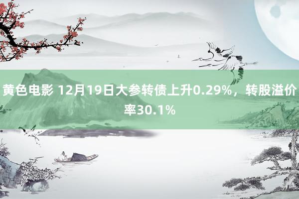 黄色电影 12月19日大参转债上升0.29%，转股溢价率30.1%