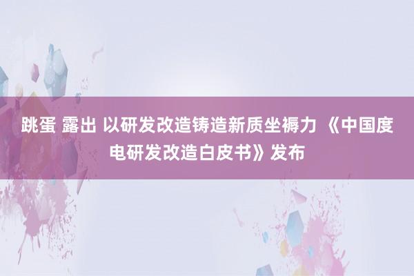 跳蛋 露出 以研发改造铸造新质坐褥力 《中国度电研发改造白皮书》发布