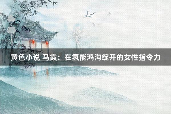 黄色小说 马霞：在氢能鸿沟绽开的女性指令力