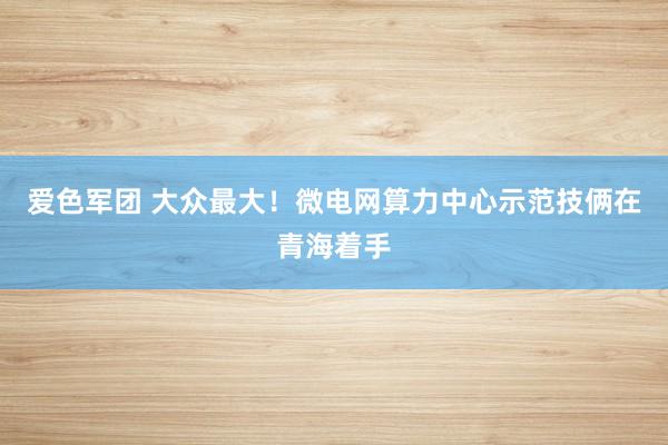 爱色军团 大众最大！微电网算力中心示范技俩在青海着手