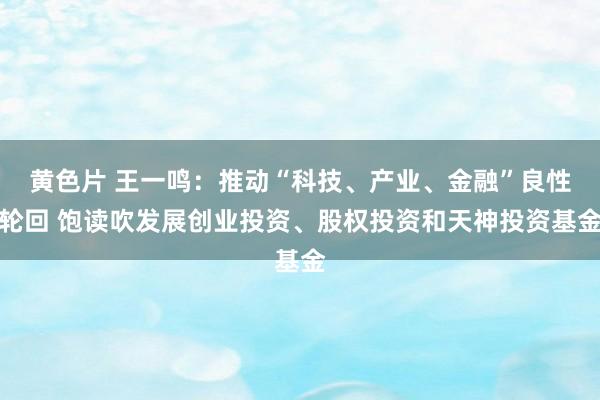 黄色片 王一鸣：推动“科技、产业、金融”良性轮回 饱读吹发展创业投资、股权投资和天神投资基金