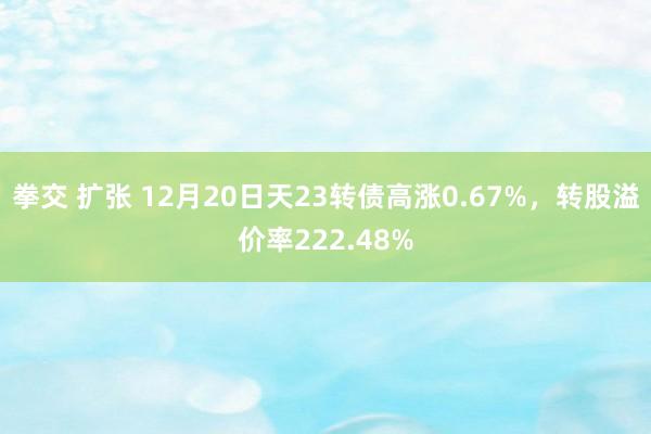 拳交 扩张 12月20日天23转债高涨0.67%，转股溢价率222.48%