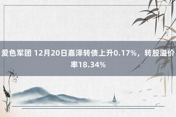 爱色军团 12月20日嘉泽转债上升0.17%，转股溢价率18.34%