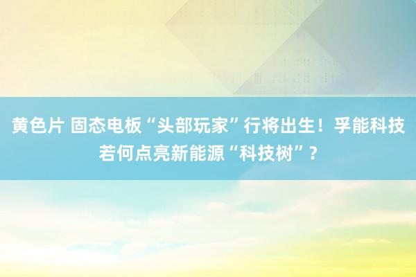 黄色片 固态电板“头部玩家”行将出生！孚能科技若何点亮新能源“科技树”？