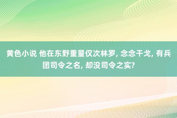 黄色小说 他在东野重量仅次林罗， 念念干戈， 有兵团司令之名， 却没司令之实?