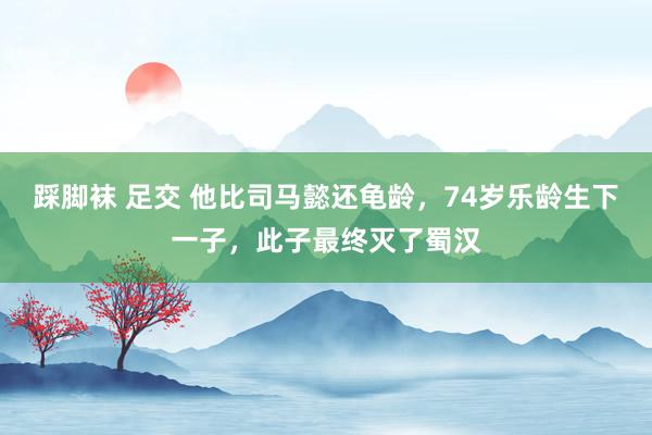 踩脚袜 足交 他比司马懿还龟龄，74岁乐龄生下一子，此子最终灭了蜀汉