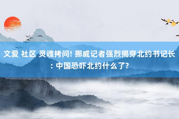 文爱 社区 灵魂拷问! 挪威记者强烈揭穿北约书记长: 中国恐吓北约什么了?