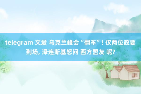 telegram 文爱 乌克兰峰会“翻车”! 仅两位政要到场， 泽连斯基怒问 西方盟友 呢?