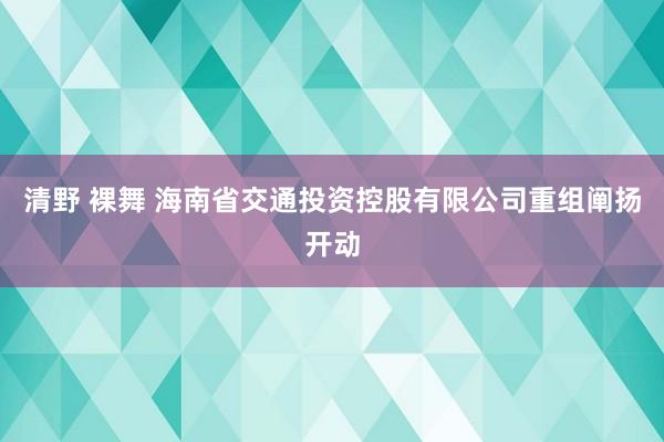 清野 裸舞 海南省交通投资控股有限公司重组阐扬开动