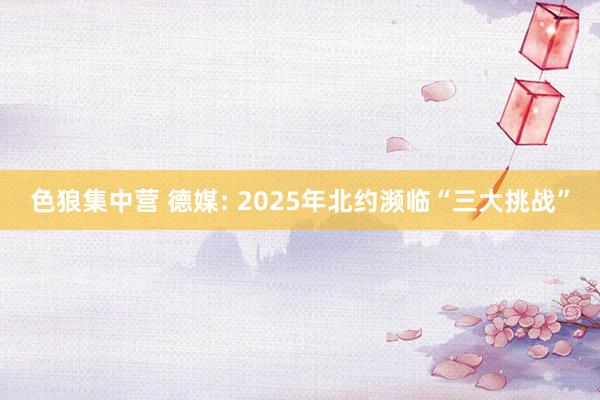 色狼集中营 德媒: 2025年北约濒临“三大挑战”