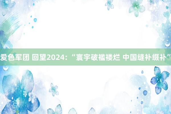 爱色军团 回望2024: “寰宇破褴褛烂 中国缝补缀补”