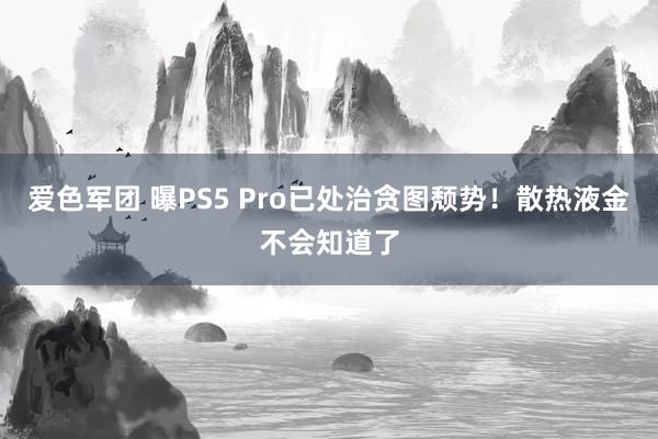 爱色军团 曝PS5 Pro已处治贪图颓势！散热液金不会知道了