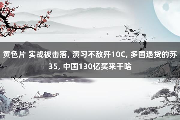 黄色片 实战被击落， 演习不敌歼10C， 多国退货的苏35， 中国130亿买来干啥